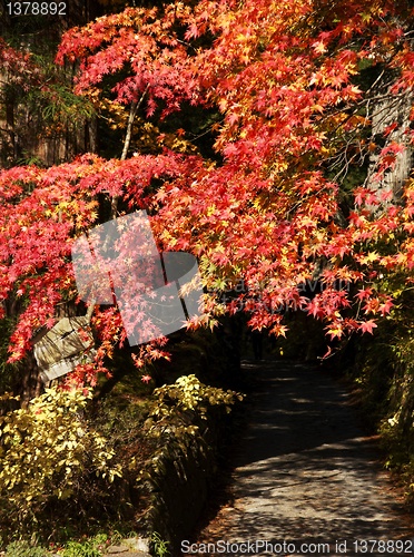 Image of mausoleums of the Tokugawa Shoguns