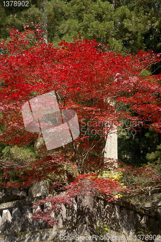 Image of mausoleums of the Tokugawa Shoguns