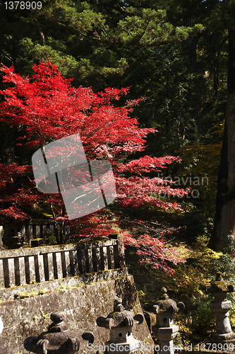 Image of mausoleums of the Tokugawa Shoguns