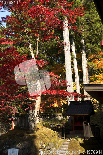 Image of mausoleums of the Tokugawa Shoguns