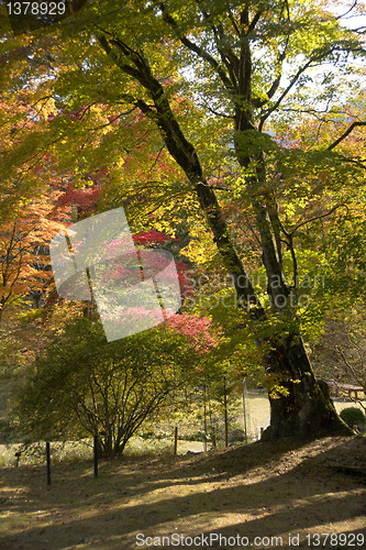 Image of imperior villa in nikko