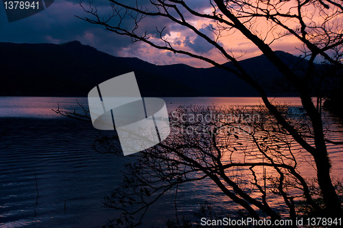 Image of Torii in a water and ashi lake, Japan