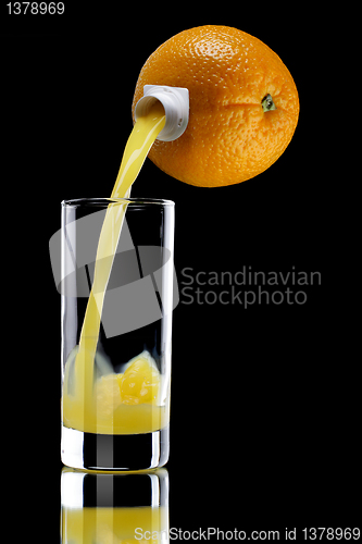 Image of orange