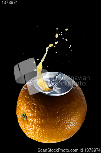 Image of an orange