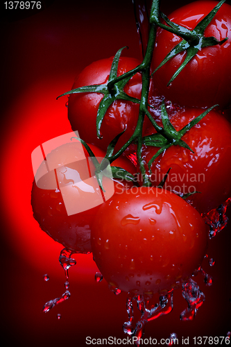 Image of tomatos