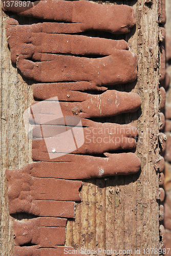 Image of Old Paints On Wood