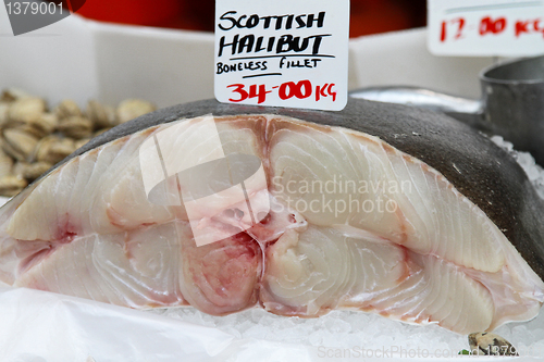 Image of Halibut fillet