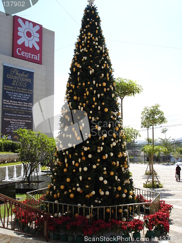 Image of Christmas Tree