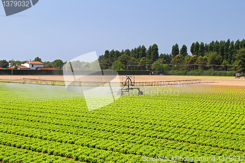 Image of Irrigation system