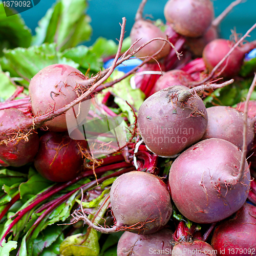 Image of Beetroot assortment