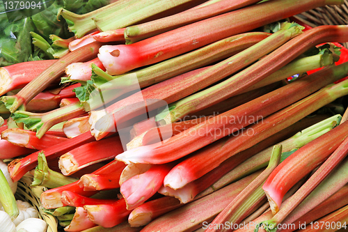 Image of Rhubarb