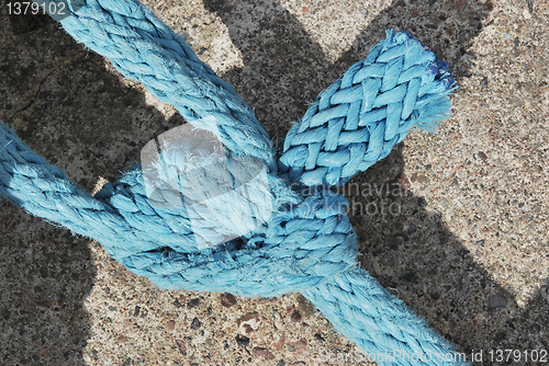 Image of Knot Bend Closeup