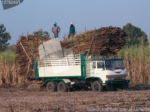 Image of Truck loaded with sugarcane