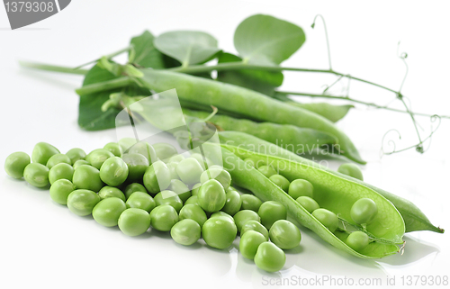 Image of peas