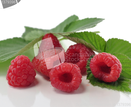 Image of fresh raspberries