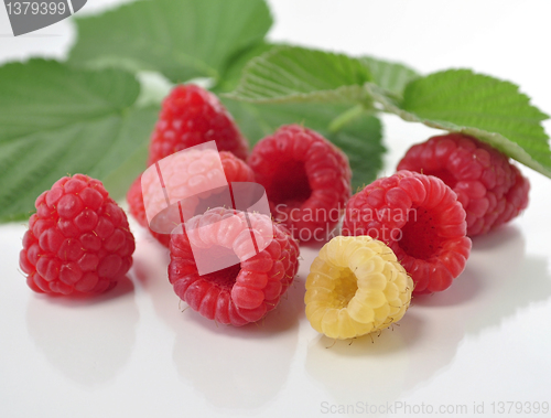 Image of fresh raspberries