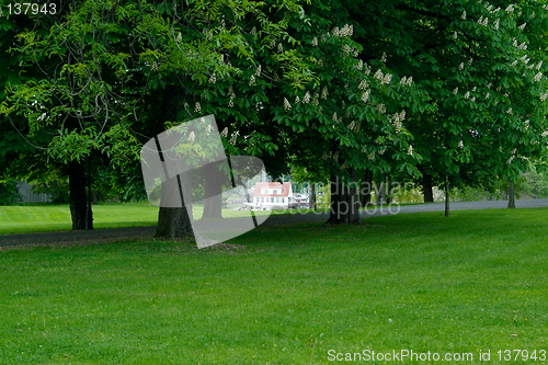 Image of House under the trees