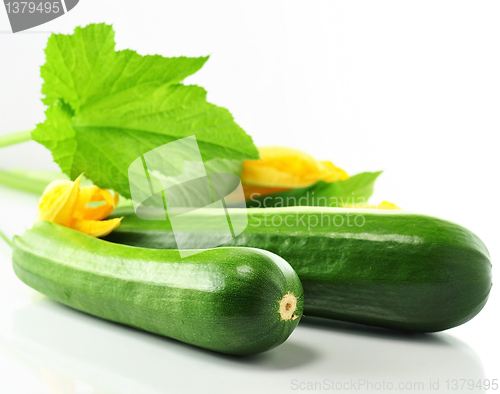 Image of  zucchini 