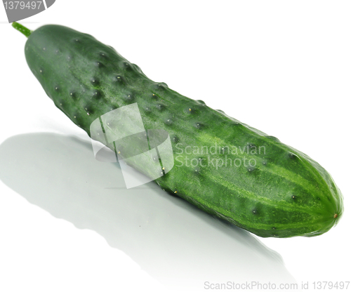 Image of fresh cucumber