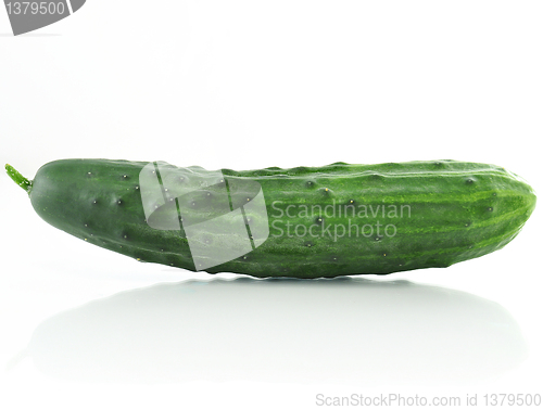 Image of fresh cucumber 