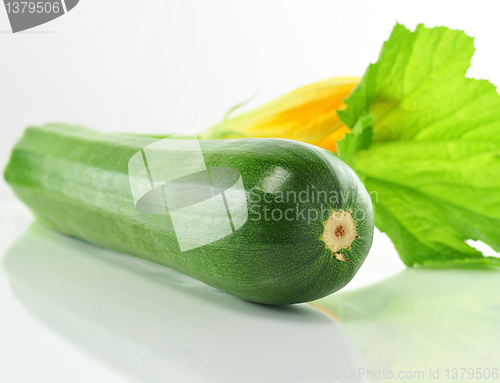 Image of zucchini