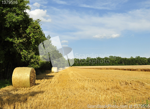 Image of Hay bails in a field 