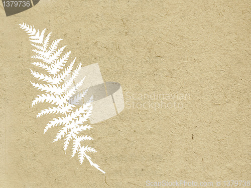 Image of sheet fern on grunge background