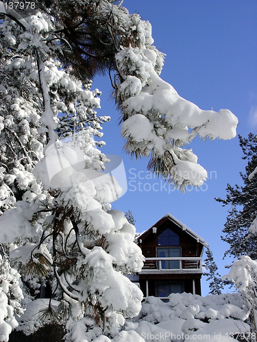 Image of Cabin in the snow woods