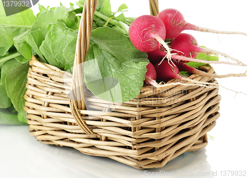 Image of radish