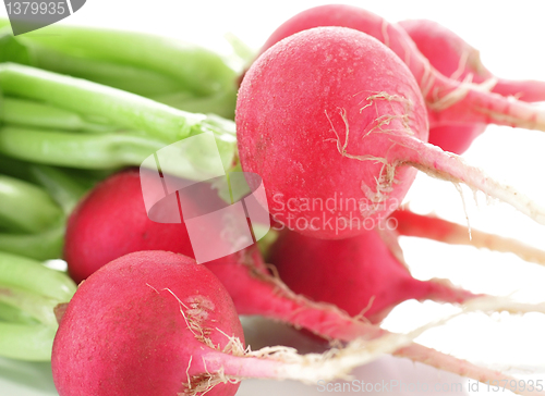 Image of radish