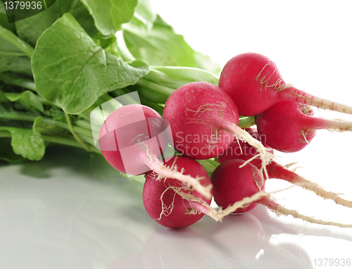 Image of radish