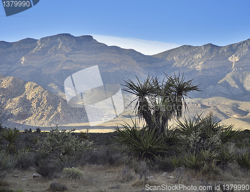 Image of Red Rock Canyon