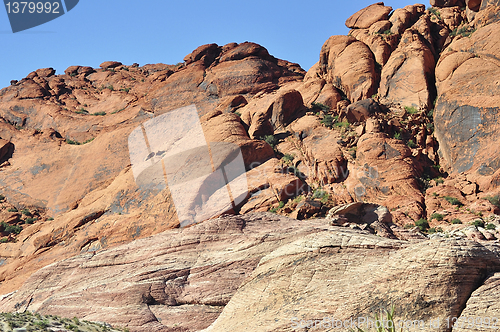 Image of Red Rock Canyon