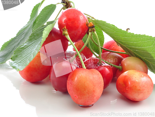 Image of cherry