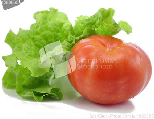 Image of tomato and lettuce 