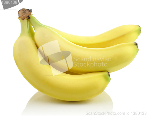 Image of bananas 