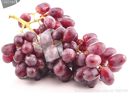 Image of grape