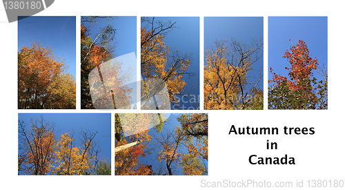 Image of  seven autumn nature scape