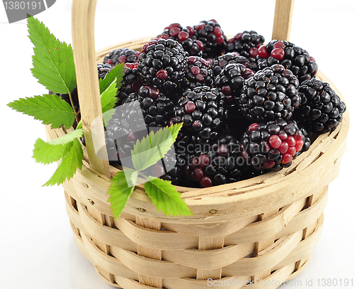 Image of blackberry