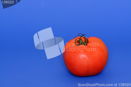 Image of Tomato