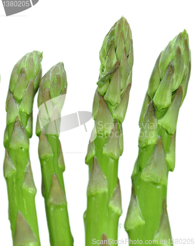 Image of asparagus