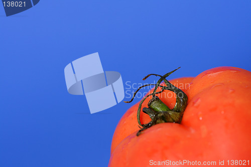 Image of Red tomato