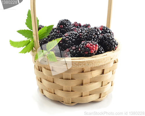 Image of blackberry