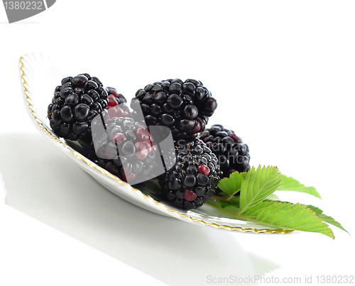 Image of blackberry