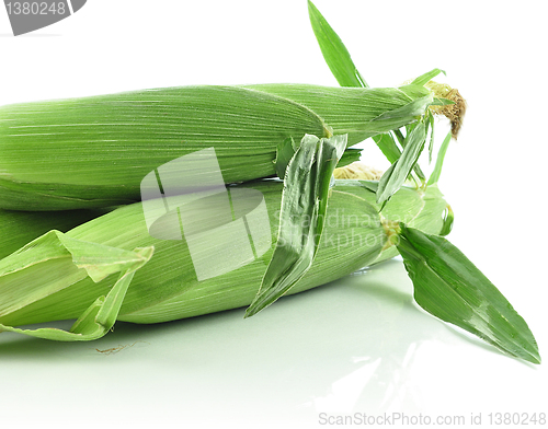 Image of fresh corn 