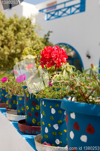 Image of Geranium pots, Santorini, Greece