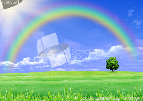 Image of Rainbow over a green glade