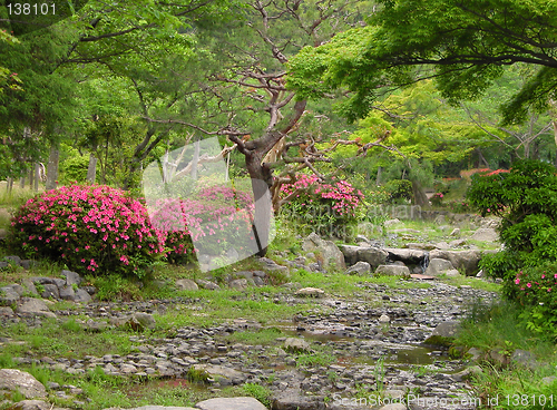 Image of Summer Japanese garden