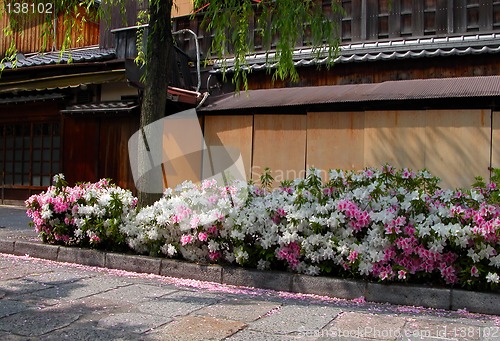 Image of Gion spring