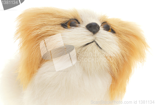 Image of Red-and-white dog. 